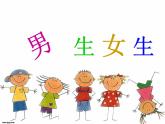二年級美術下冊第14課男生女生課件2湘美版