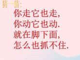 湘美版美術(shù)二年級下冊：《影子大王》課件