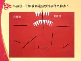 湘美版美术二年级下册：《剪纸动物》课件