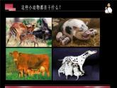 二年級美術(shù)下冊第12課和媽媽在一起課件1新人教版2
