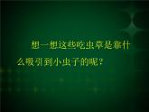 二年級美術(shù)下冊第2課吃蟲草課件1新人教版