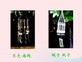 吊飾PPT課件免費(fèi)下載