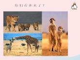 二年級美術(shù)下冊第12課和媽媽在一起課件2新人教版2