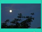 二年級(jí)美術(shù)下冊(cè)第16課畫(huà)夜景課件3新人教版2