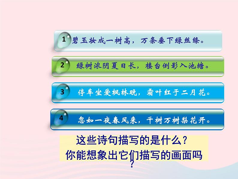 二年级美术下册第3课认识身边的树课件1新人教版第2页