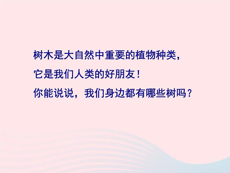 二年级美术下册第3课认识身边的树课件1新人教版第7页