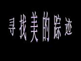 六年级美术下册第2课寻找美的踪迹课件1新人教版