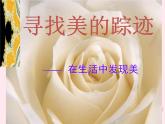 六年级美术下册第2课寻找美的踪迹课件3新人教版