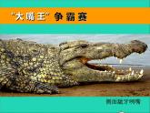 三年級美術(shù)下冊第6課大嘴怪課件1人美版