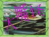 三年級美術(shù)下冊第6課大嘴怪課件2人美版