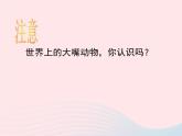 三年級美術(shù)下冊第6課大嘴怪課件2人美版
