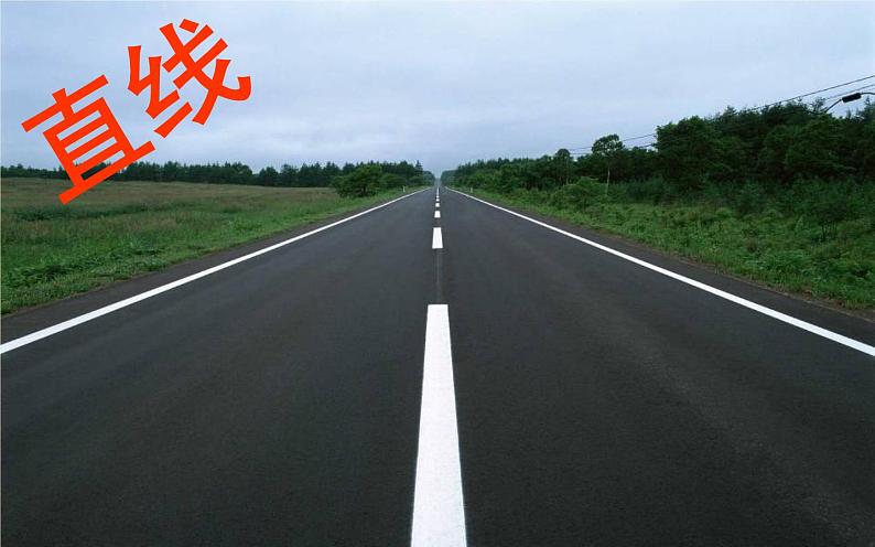 四年级美术下册第14课线条的魅力课件4浙美版03