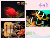 一年级美术下册第15课热带鱼乐园课件2浙美版