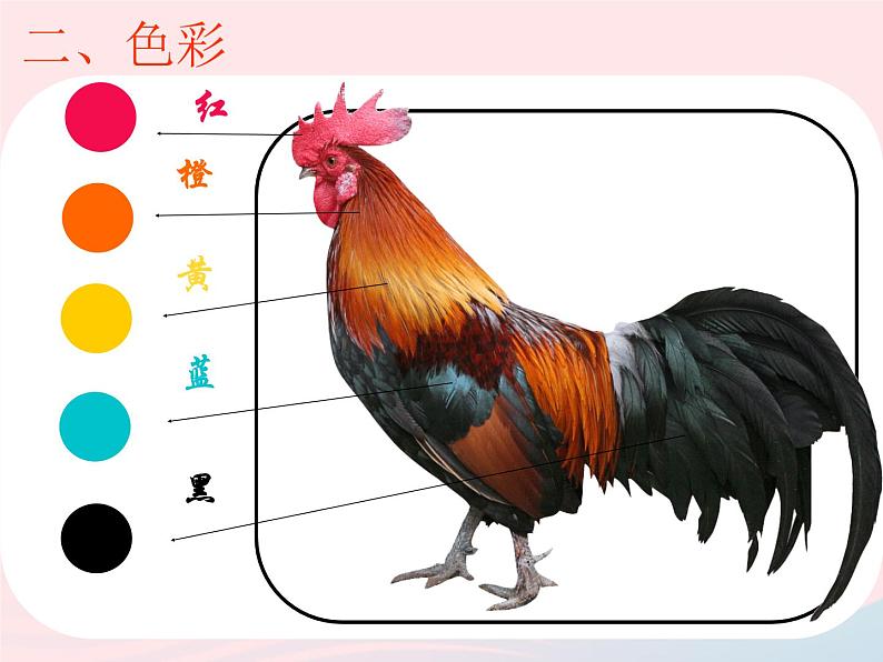一年级美术下册第16课神气的大公鸡课件3浙美版第7页