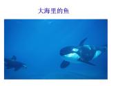 小學(xué)三年級(jí)上冊(cè)美術(shù)課件-2.3肚子里的故事-嶺南版(25張)ppt課件