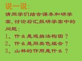 茂密的山林PPT課件免費下載