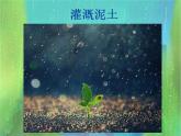 小學(xué)三年級(jí)上冊(cè)美術(shù)課件-5.13雨來了-嶺南版(37張)ppt課件