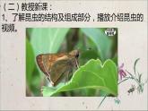 可爱的水墨昆虫PPT课件免费下载