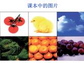 小學(xué)三年級(jí)上冊(cè)美術(shù)課件-3.5繽紛的色彩樂園-嶺南版(46張)ppt課件
