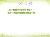 小學三年級上冊美術課件-5.14奇特的熱帶植物-嶺南版(30張)ppt課件