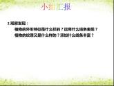 小學三年級上冊美術課件-5.14奇特的熱帶植物-嶺南版(30張)ppt課件