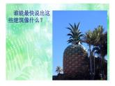 小學三年級上冊美術(shù)課件-6.18奇妙的建筑-嶺南版(28張)ppt課件