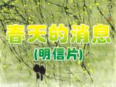 小學(xué)三年級(jí)下冊(cè)美術(shù)課件-5.13春天的消息-嶺南版(29張)ppt課件