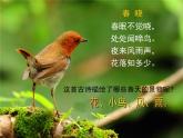 小學(xué)三年級(jí)下冊(cè)美術(shù)課件-5.13春天的消息-嶺南版(29張)ppt課件