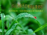 小學(xué)三年級(jí)下冊(cè)美術(shù)課件-5.13春天的消息-嶺南版(29張)ppt課件