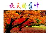 小學(xué)三年級下冊美術(shù)課件-5.15秋天的落葉-嶺南版(29張)ppt課件