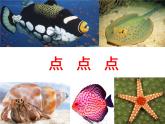 小學(xué)四年級(jí)上冊(cè)美術(shù)課件-第6課海洋世界-蘇少版(24張)ppt課件