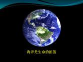 小學(xué)四年級(jí)上冊(cè)美術(shù)課件-第6課海洋世界-蘇少版(42張)ppt課件