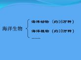 小學(xué)四年級(jí)上冊(cè)美術(shù)課件-第6課海洋世界-蘇少版(42張)ppt課件