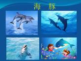 小學(xué)四年級(jí)上冊(cè)美術(shù)課件-第6課海洋世界-蘇少版(42張)ppt課件