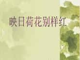 浙美版 五年级美术下册第18课映日荷花别样红 课件