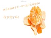 人美版 美術(shù)二年級上冊 第12課 好吃的水果(7) 課件