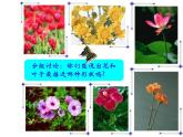 人美版 美術(shù)二年級上冊 第14課 茂密的花 課件