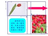 人美版 美術(shù)二年級上冊 第14課 茂密的花 課件