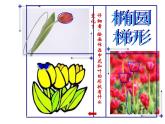 人美版 美術(shù)二年級上冊 第14課 茂密的花 課件