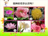 人美版 美術(shù)二年級上冊 第14課 茂密的花(1) 課件