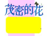 人美版 美術(shù)二年級上冊 第14課 茂密的花(2) 課件