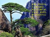 人美版 美術(shù)二年級上冊 第15課 大樹的故事(2) 課件