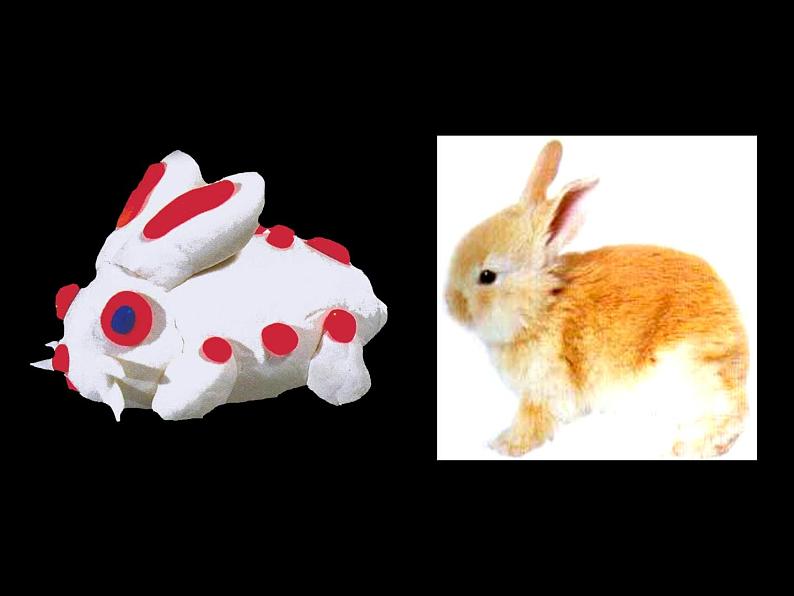 人美版 美术二年级上册 第17课 动物乐园 课件第8页