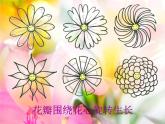 人美版 美術(shù)二年級上冊 第14課 茂密的花 (3) 課件