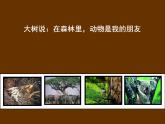 人美版 美術(shù)二年級上冊 第15課 大樹的故事 課件