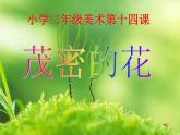 人美版 美術(shù)二年級上冊 第14課 茂密的花(3) 課件