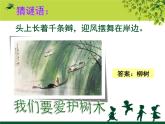 人美版 美術(shù)二年級上冊 第15課 大樹的故事 課件