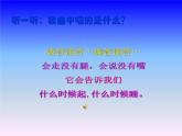 人美版 美術(shù)二年級(jí)上冊(cè) 第5課 漂亮的小鐘表(13) 課件