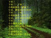 人美版 美術(shù)二年級上冊 第6課 下雨了 (2) 課件