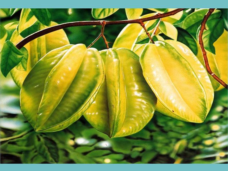 人美版 美术二年级上册 第12课 好吃的水果(3) 课件第8页